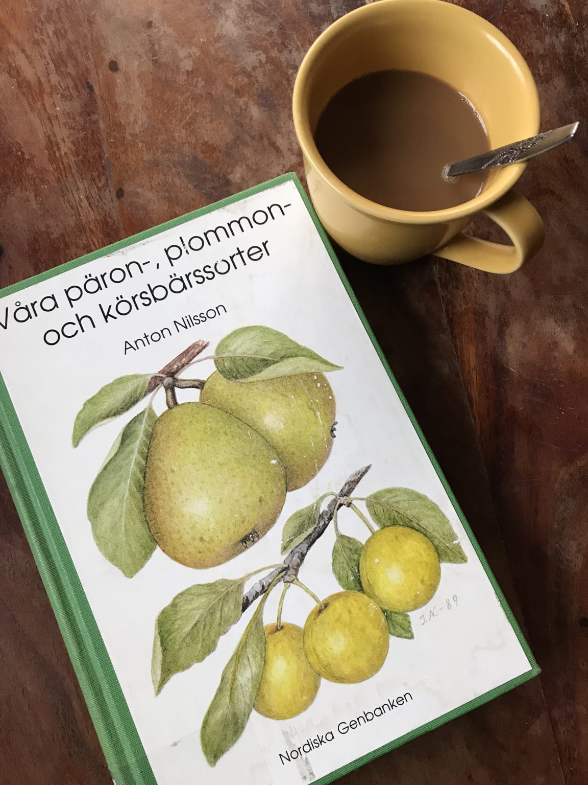 Sortguide: Päron - Trädgårdstrollet