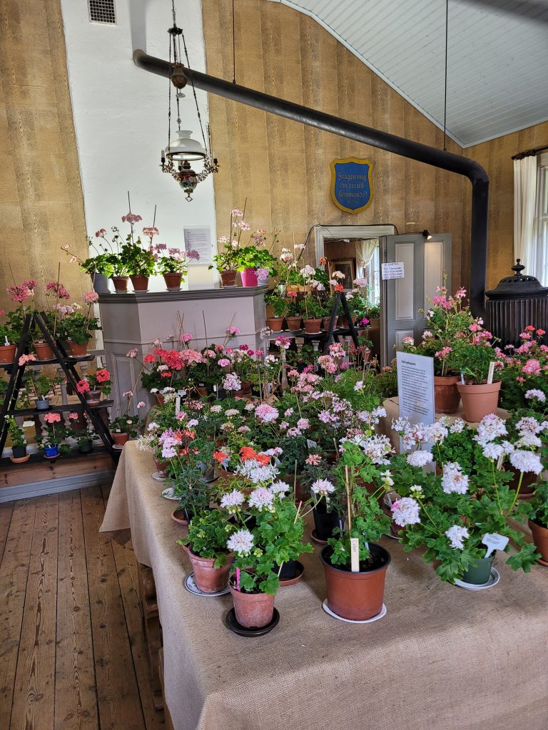 pelargondag Vallby
